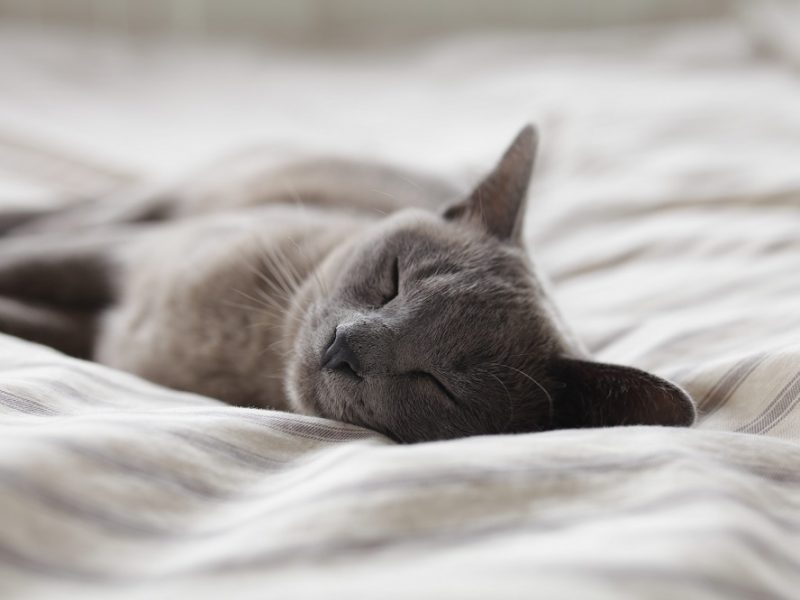 comment mieux dormir malgré le stress